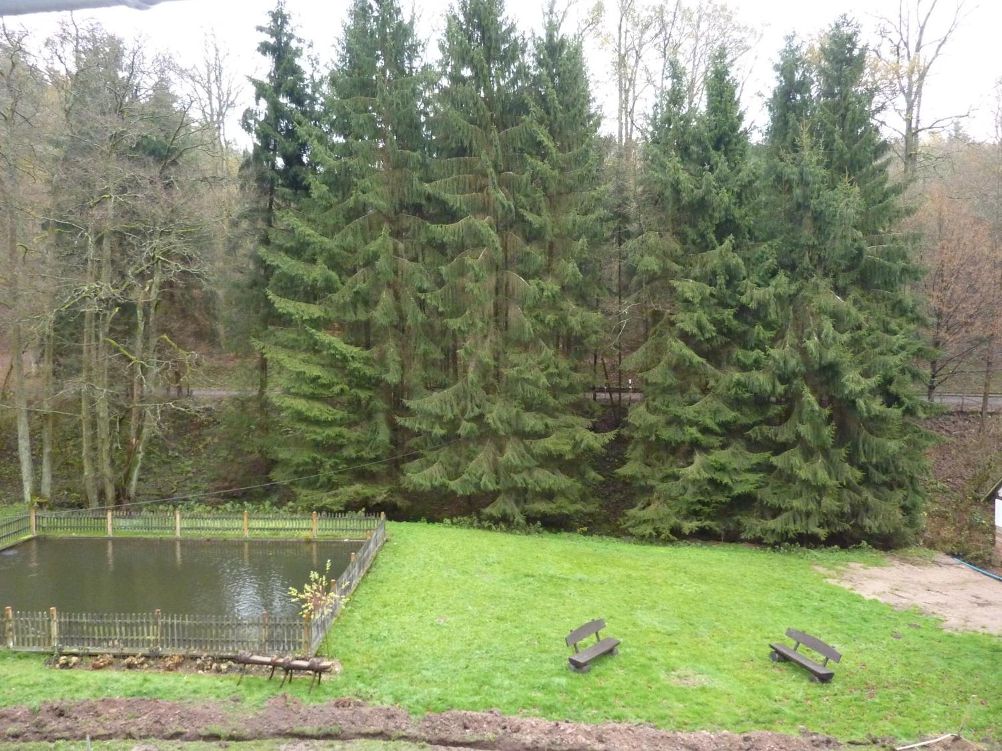 Hof Guttels Waldgasthof Ferienpension Rotenburg an der Fulda Værelse billede
