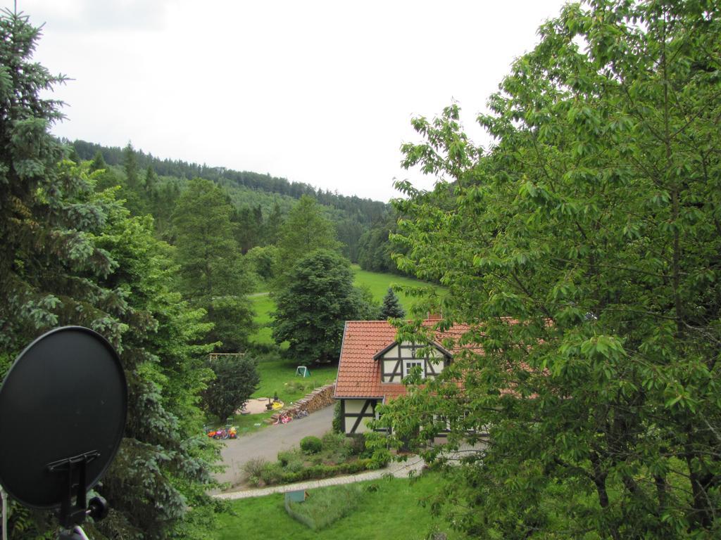 Hof Guttels Waldgasthof Ferienpension Rotenburg an der Fulda Værelse billede